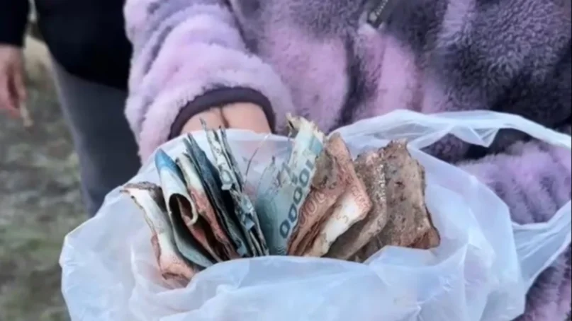 Familia de Curicó perdió tres millones de pesos: enterraron billetes y sistema frontal los destruyó